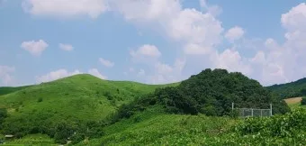 서산 가볼만한곳 베스트10 여행 놀거리 맛집_20