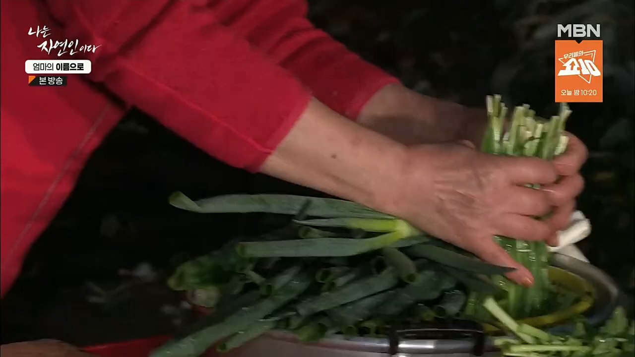 나는 자연인이다.E531.221208p.H264-F1RST.mp4_20221208_204239.727.jpg