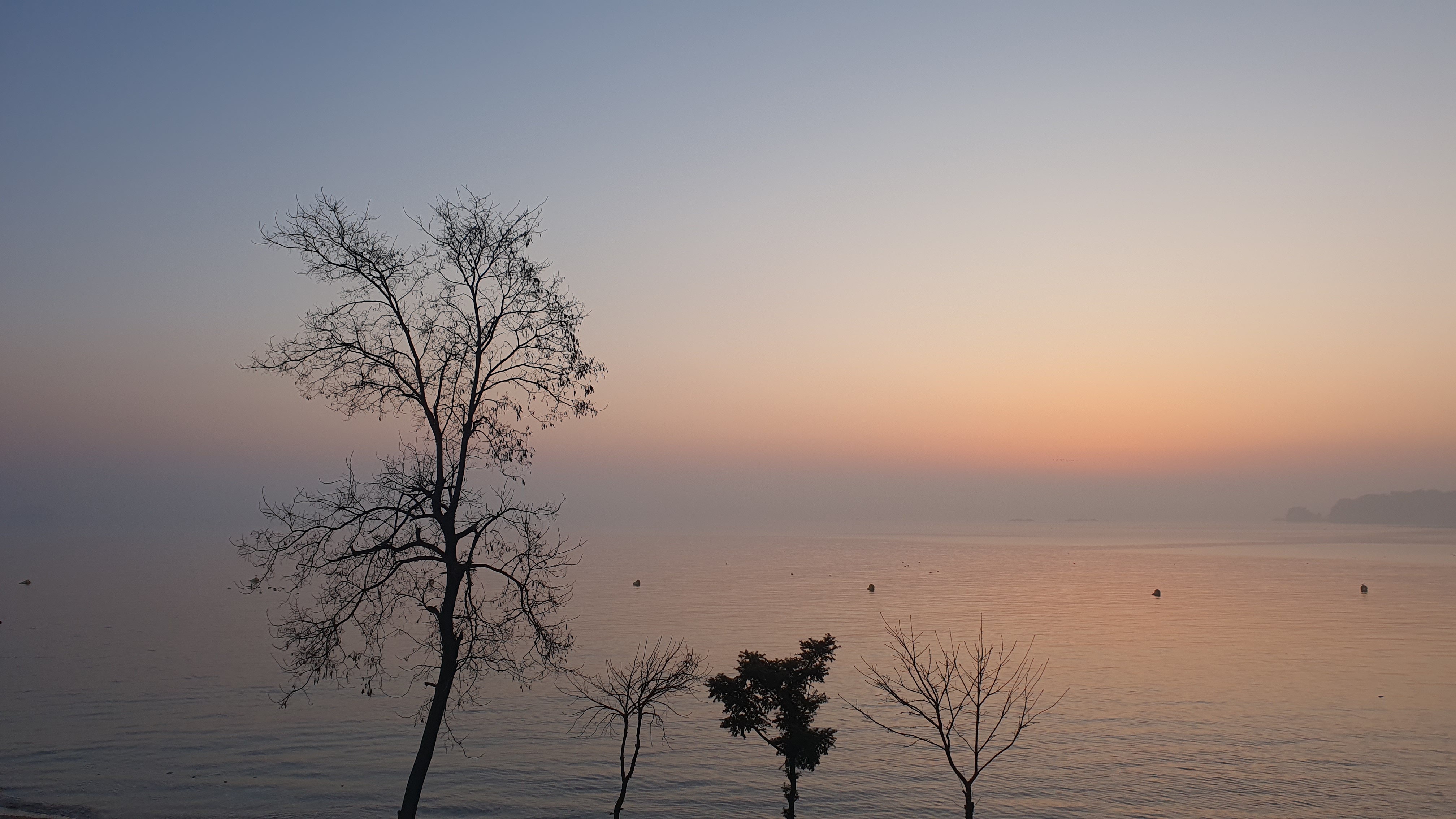 당진 여행 일출 예쁜 오션뷰 차박 캠핑장 해와랑 해루질 가능