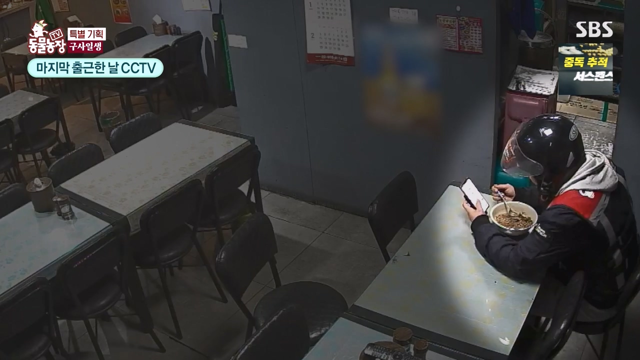TV 동물농장.E1171.240513p-NEXT.mp4_20240512_163344.401.jpg