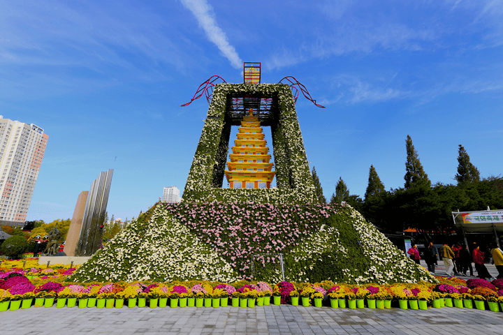 익산 천만송이 국화축제