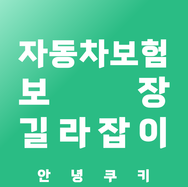 자동차 보험 보장 항목 설명