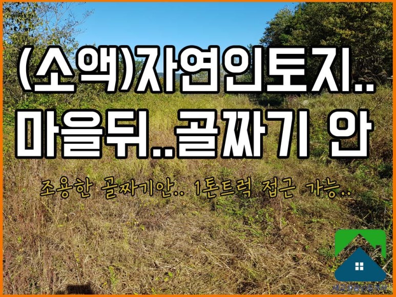  매매완료 경남고성부동산(토지)(소액) 마을뒤 조용한 골짜기 안 자연인토지