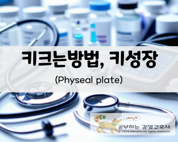 의학 정보_어린이, 청소년 "예상 키" 성장판 검사 및 비용 알아 보기