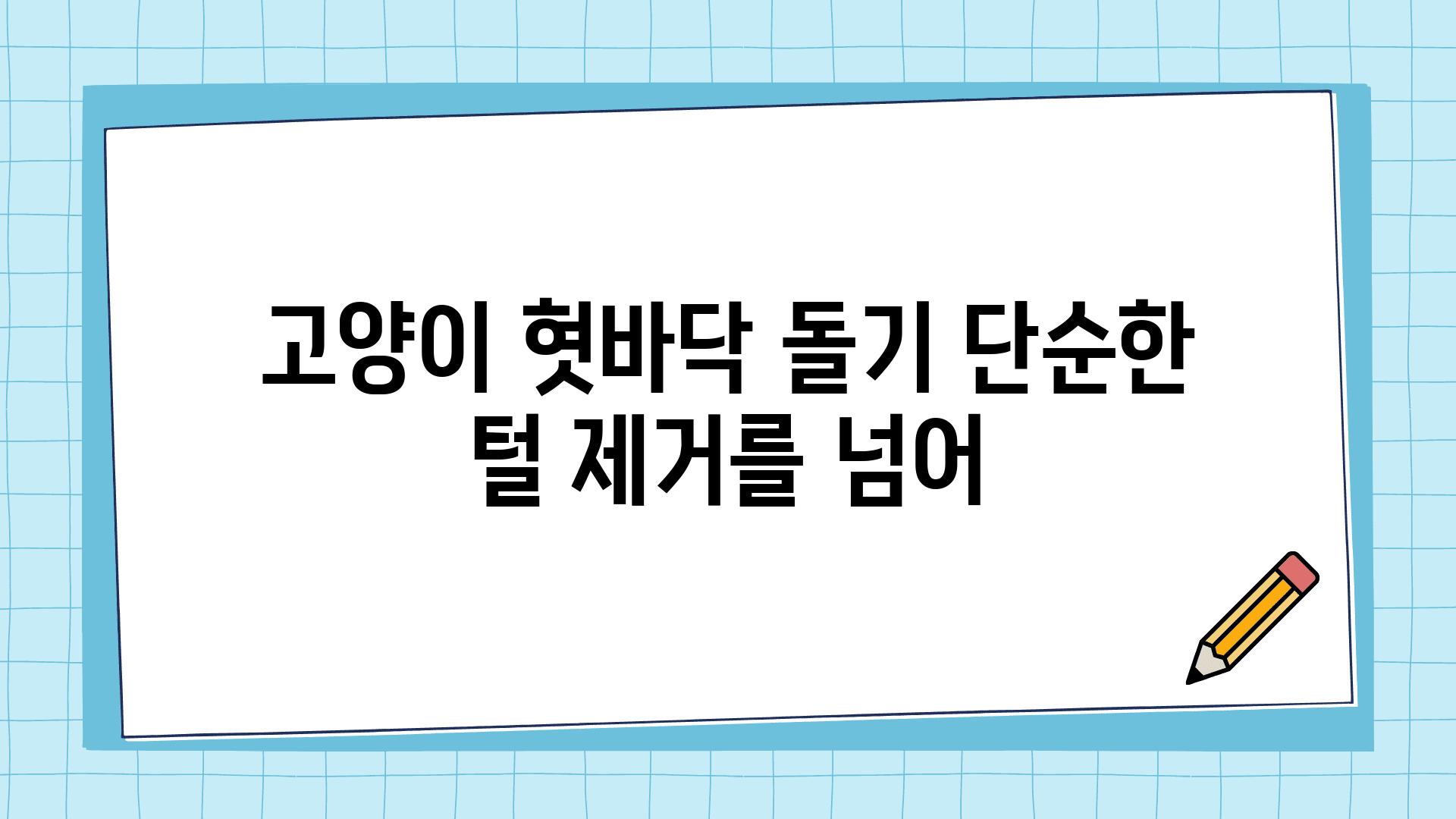 고양이 혓바닥 돌기 단순한 털 제거를 넘어