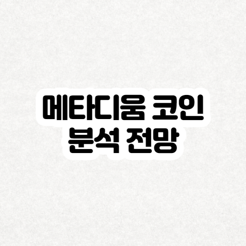  메타디움 코인 전망 분석