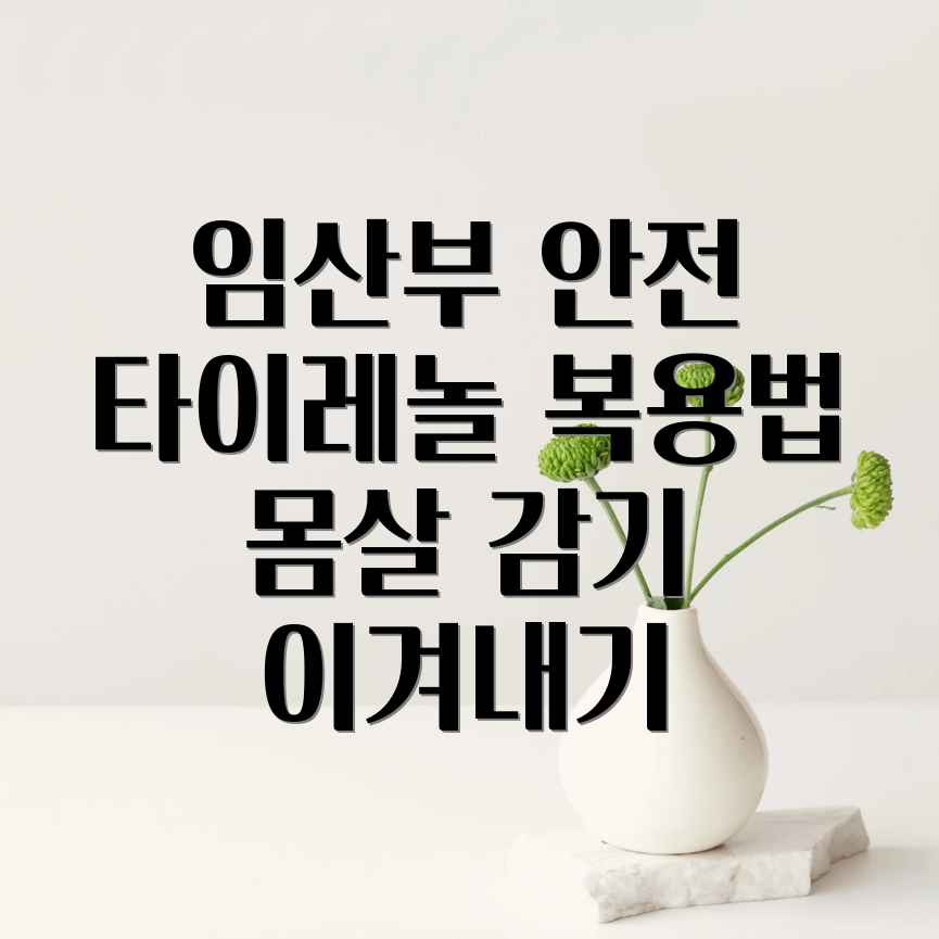 임산부 타이레놀