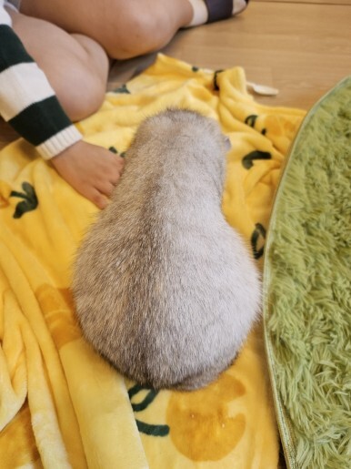 집사의하루 이미지
