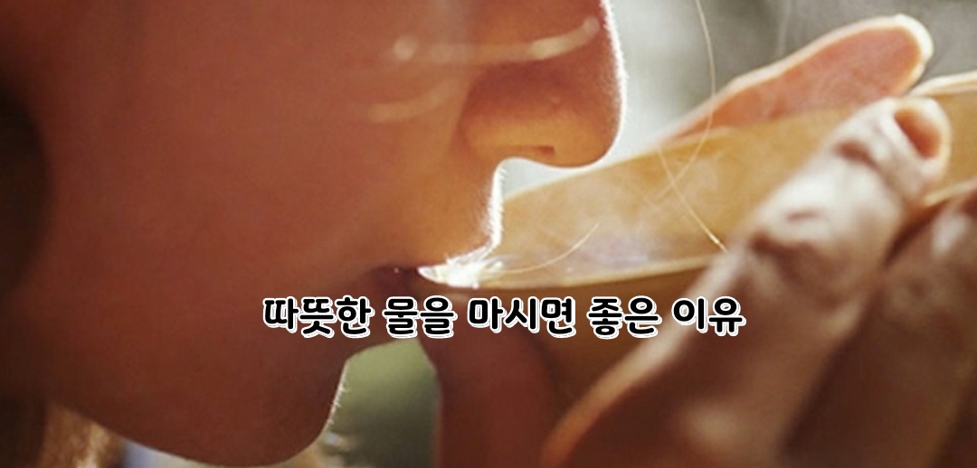  따뜻한 물을 마시면 좋은 이유