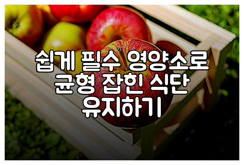 쉽게 필수 영양소로 균형 잡힌 식단 유지하기