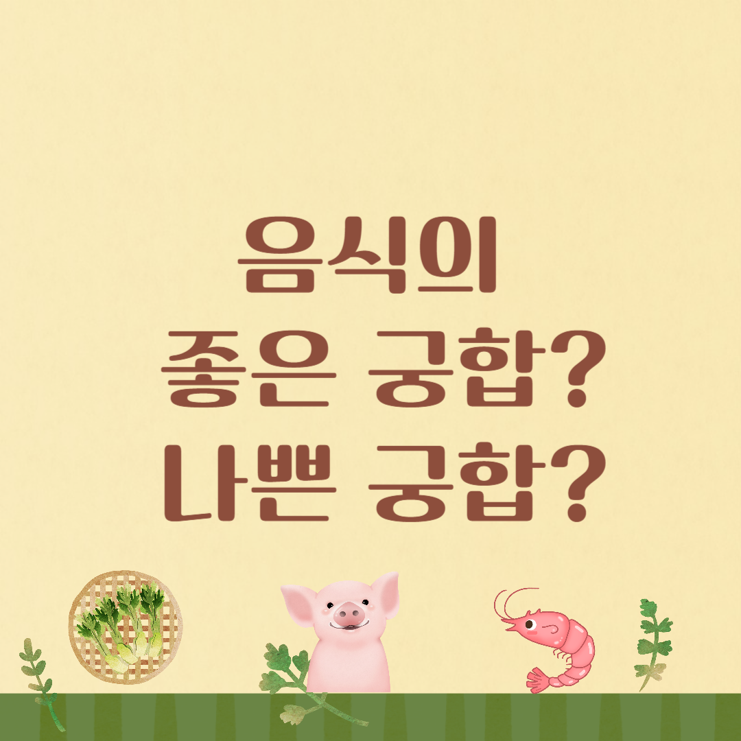 음식의 좋은 궁합? 나쁜 궁합?