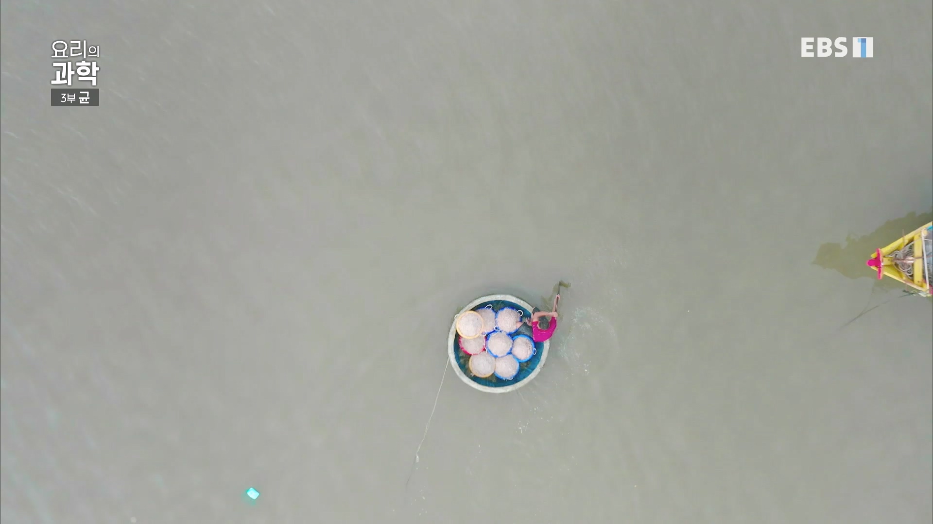 EBS 다큐프라임.201207.요리의 과학 - 3부 균0p.mp4_20240411_202629.281.jpg