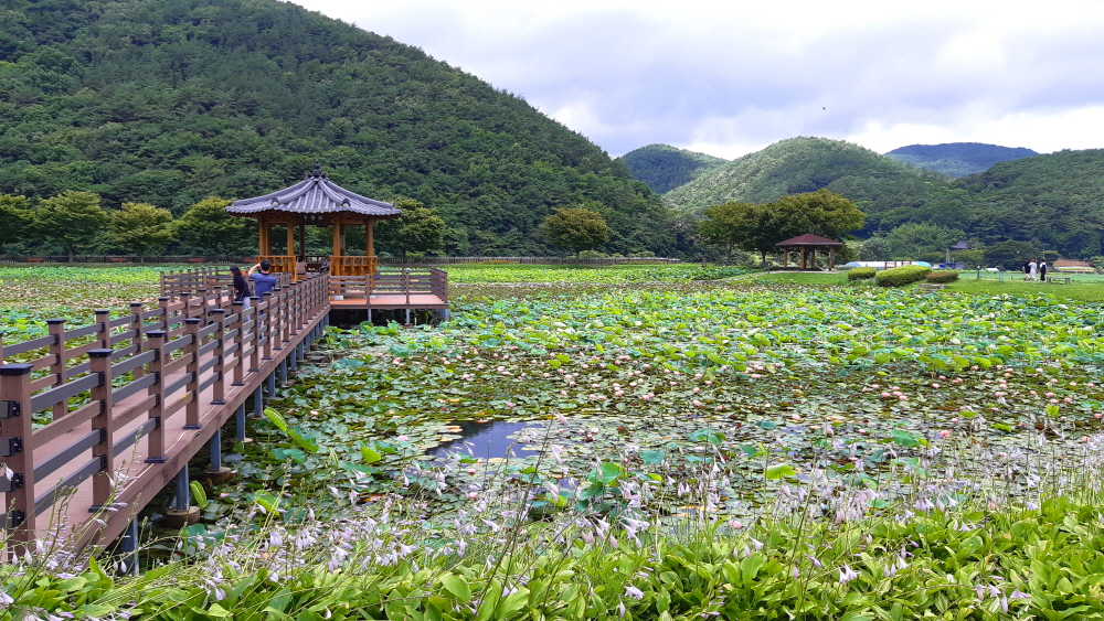 상리공원 이미지