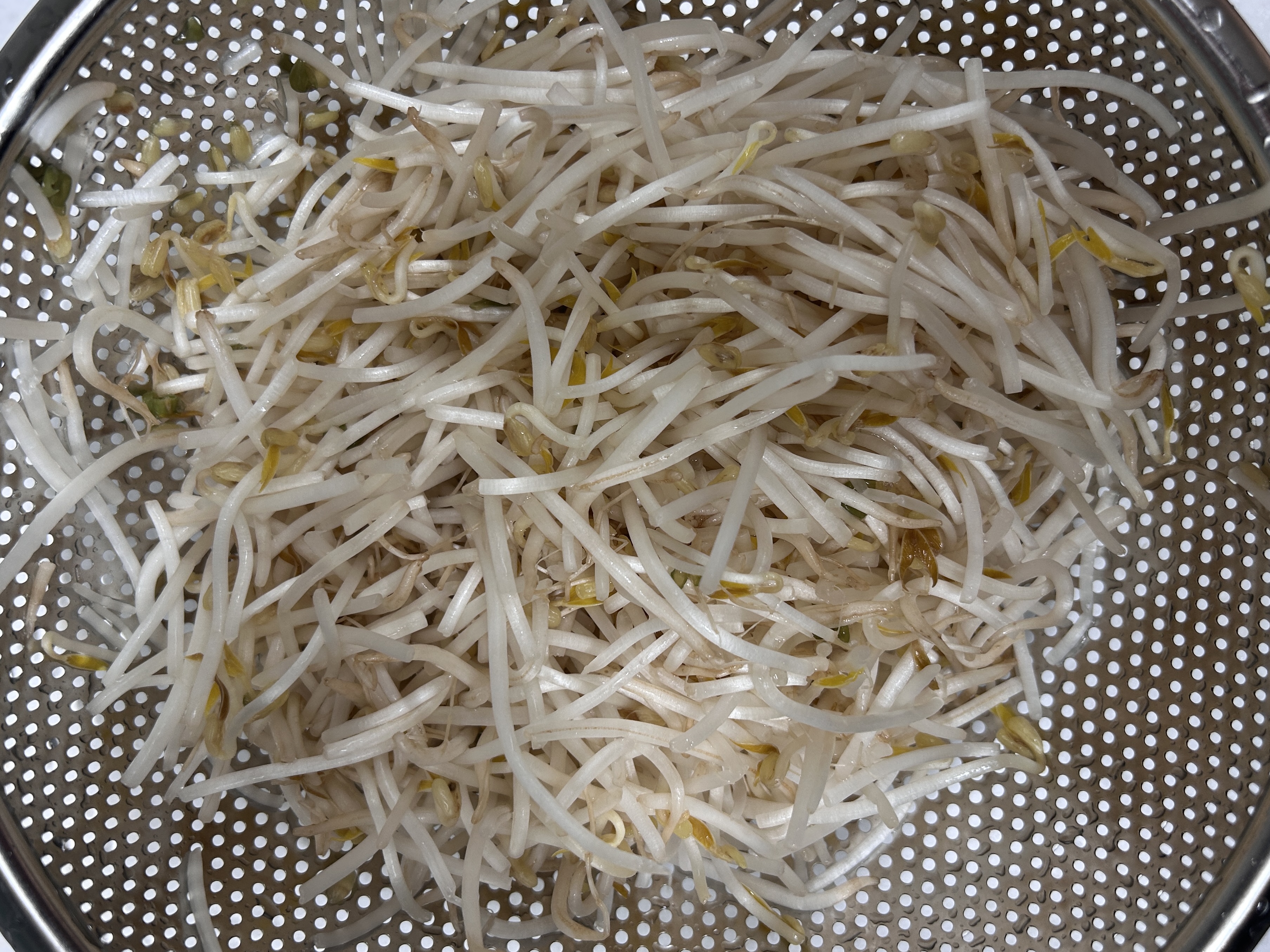 씻은 뒤 채에 받쳐 물기를 빼고 있는 숙주