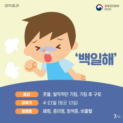 성인-백일해-예방접종-가격-병원