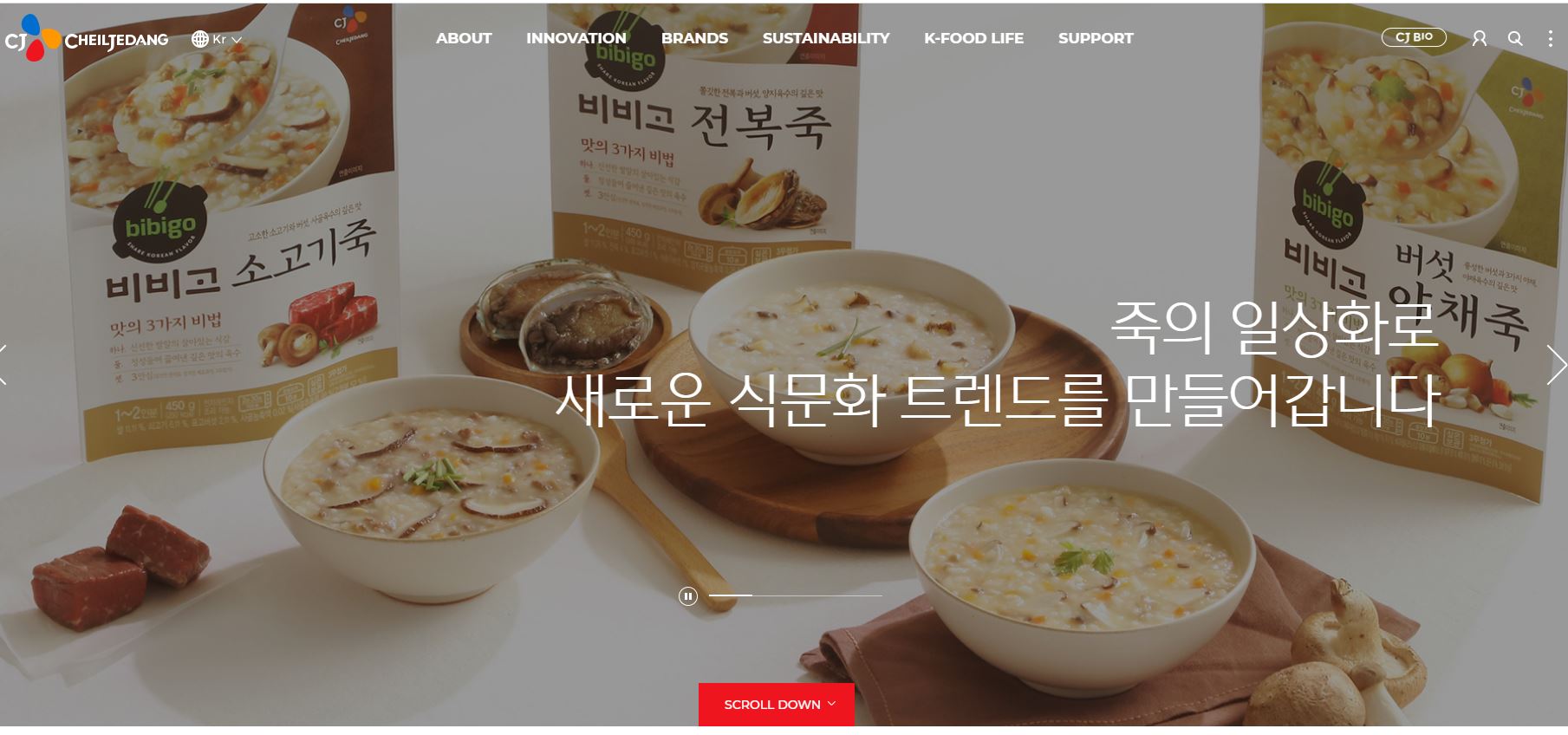  CJ제일제당 배당금(2020년 배당금)