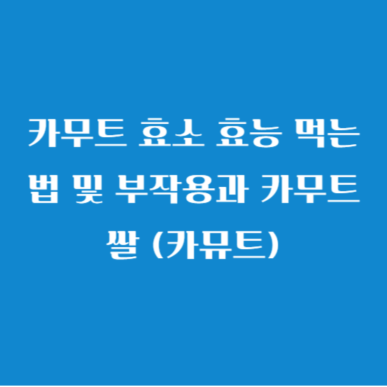 카무트 효소 효능 먹는법 및 부작용과 카무트 쌀 (카뮤트)