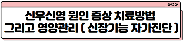 신우신염