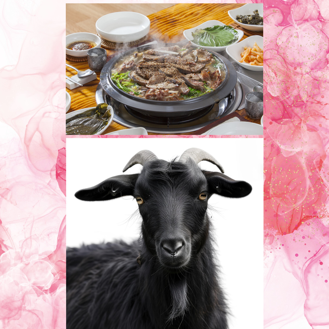 흑염소 음식 흑염소 사진