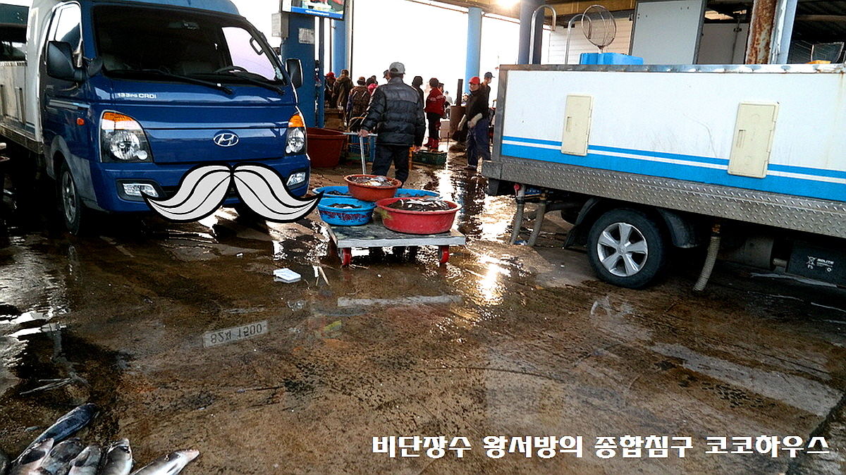 고성 대진항 수산시장 먹거리 맛집! 2