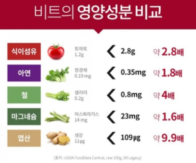 비트 영양성분비교
