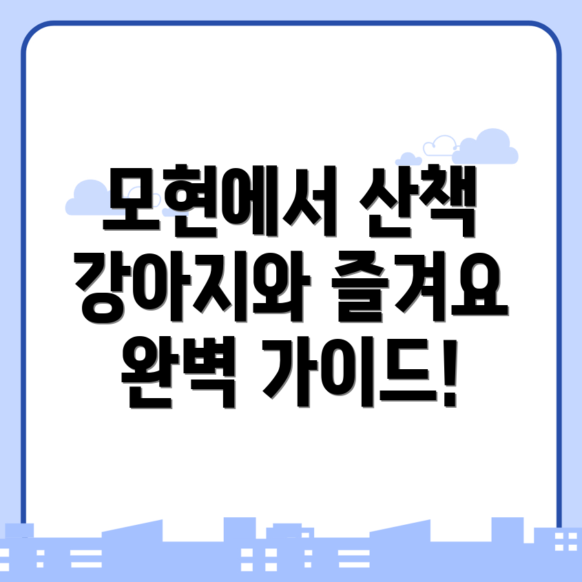 강아지 산책