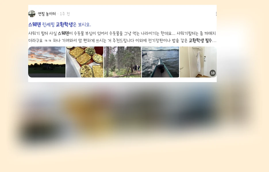 스웨덴 교환학생 필수 앱_3_subsection