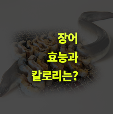 장어 효능과 칼로리는? 완벽정리!