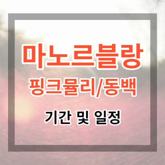  마노르블랑 핑크뮬리 축제 - 동백꽃 축제 기간 및 일정 알아보기