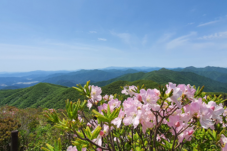 덕유산 케이블카