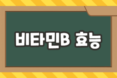 비타민B 효능