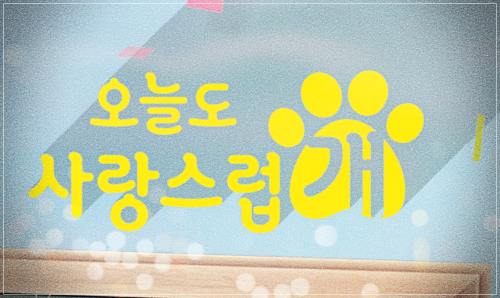 오늘도 사랑스럽개 재방송