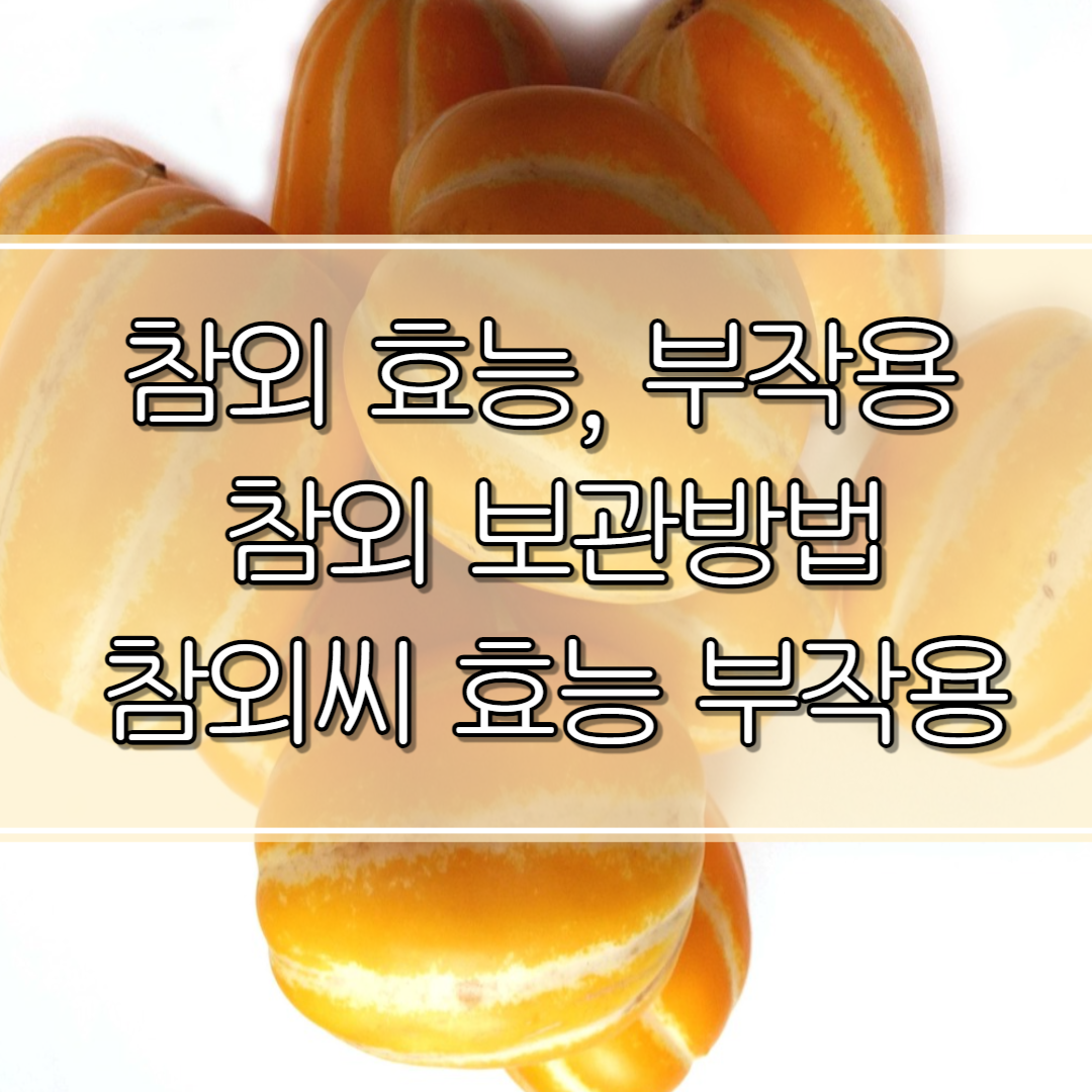 참외의 효능과 부작용, 참외 보관법 참외 씨 효능 부작용