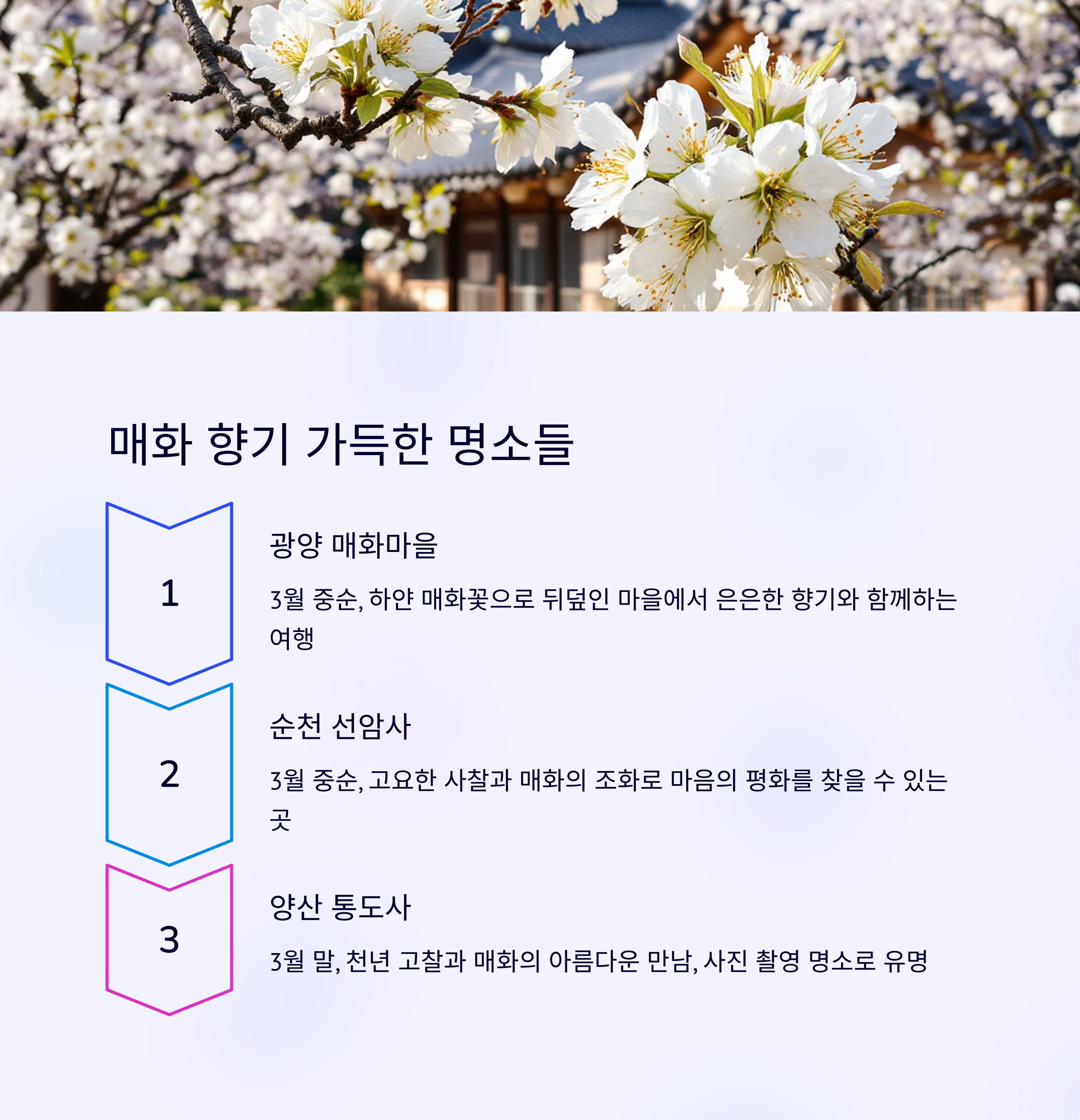 2025년 봄꽃 여행 시 알아두면 좋은 꿀팁 모음