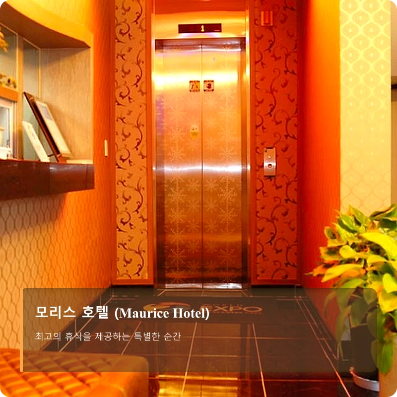 모리스 호텔 (Maurice Hotel)_5