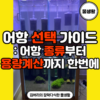  어항 크기와 용량 계산 방법