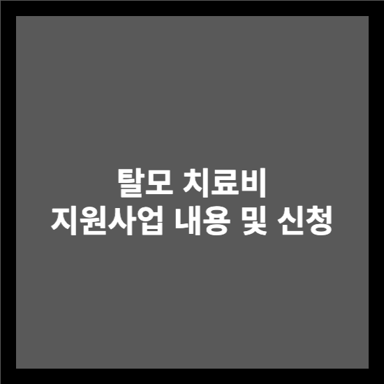  보령시 탈모 치료비 지원사업 추진 및 지원조건, 신청기준(2023년)