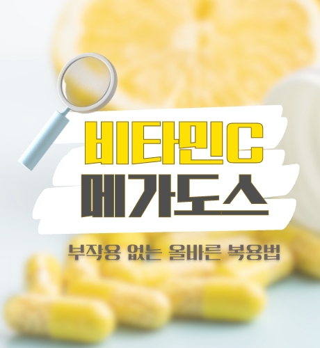 비타민 c 메가도스