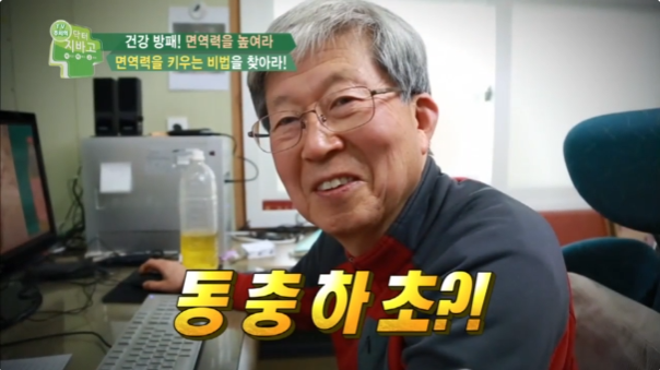  [동충하초] 효능&먹는법&총정리