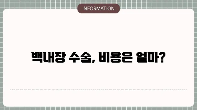백내장 수술 관련 그래픽