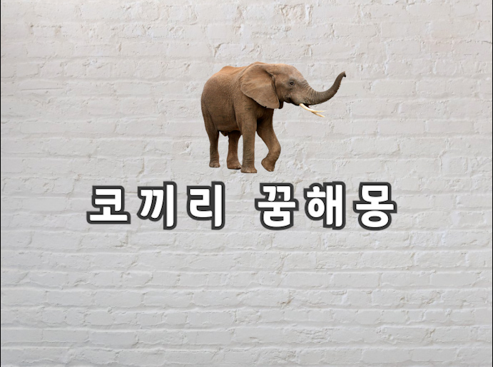  코끼리 꿈해몽 코끼리 꿈에 대한 의미가 궁금하다면