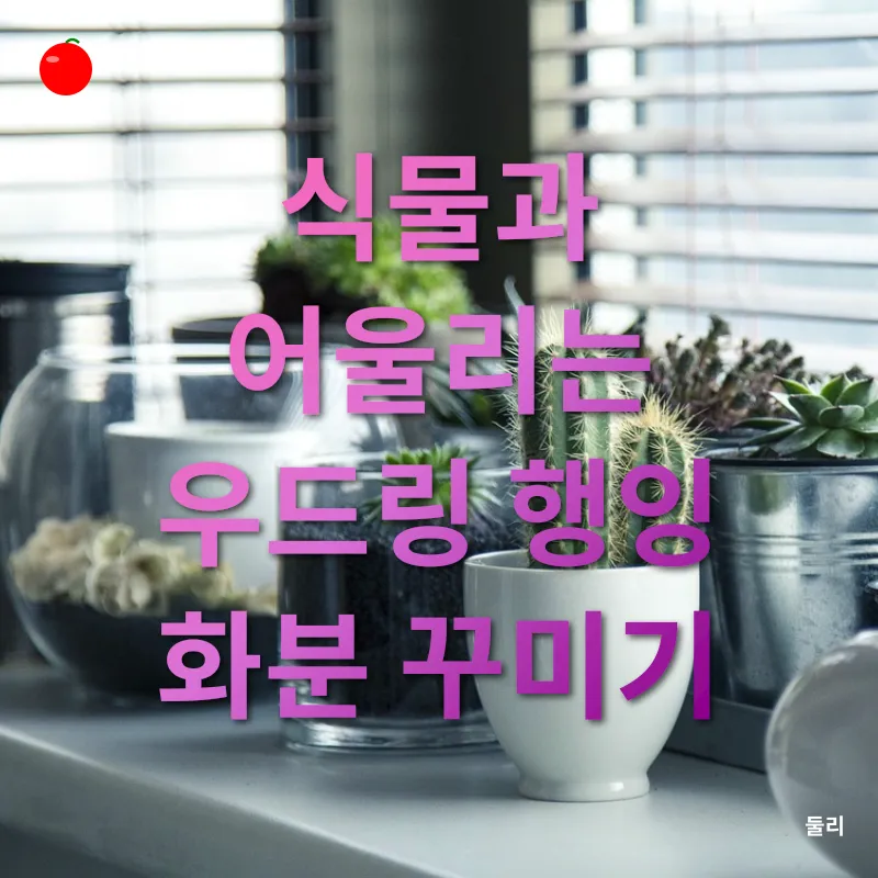 실내 식물 행잉_4
