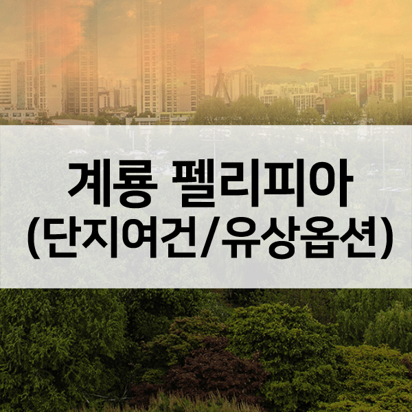 계룡펠리피아1순위-1