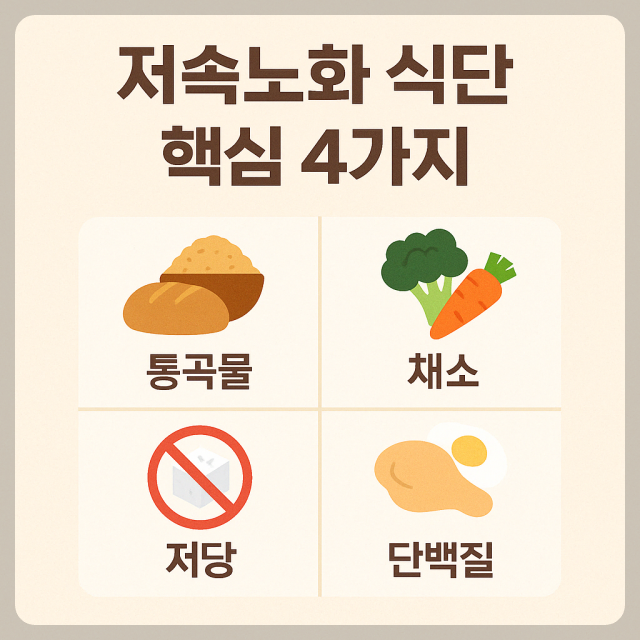 저속노화 핵심4가지