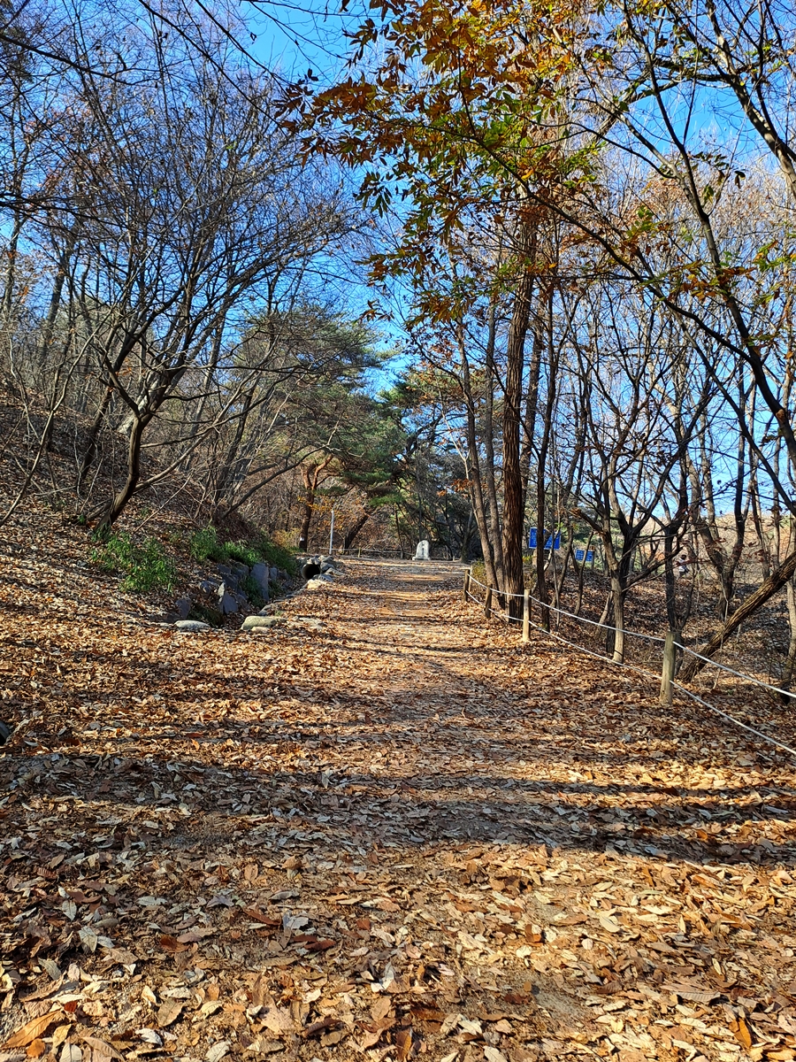 제명호로-올라가는-산책길_04