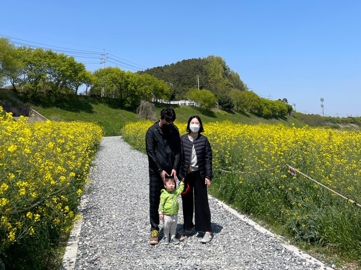 영산강 나주 유채꽃 나들이 17