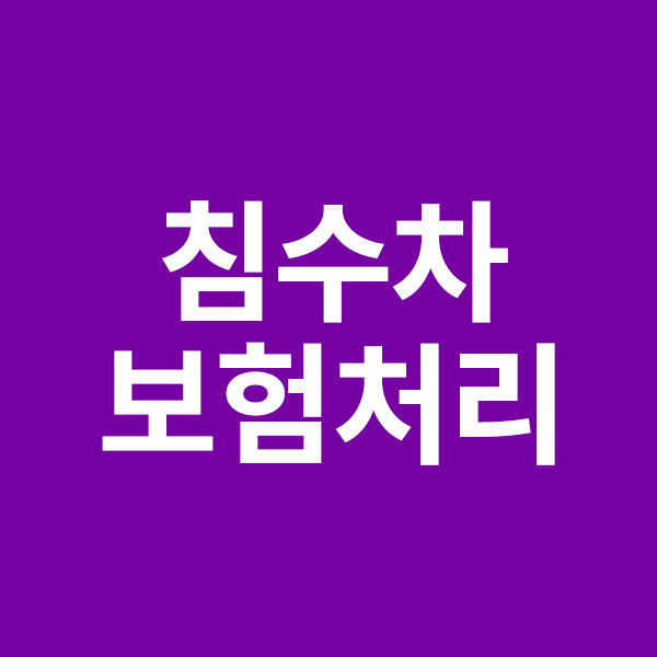 침수차 보험처리 기준 보험수리 &#44; 자연재해 천재지변 침수사고 등에 대해서 알려드립니다