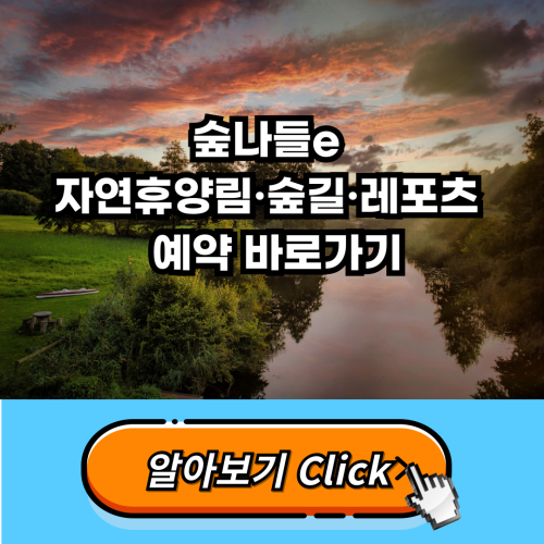 2024년 숲나들e 자연휴양림·숲길·레포츠  예약 바로가기