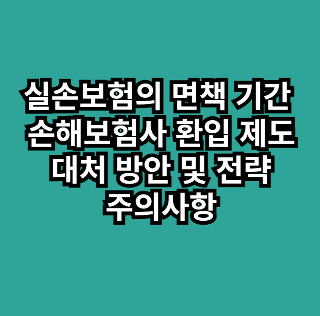 실손보험면책기간손해보험사환입제도