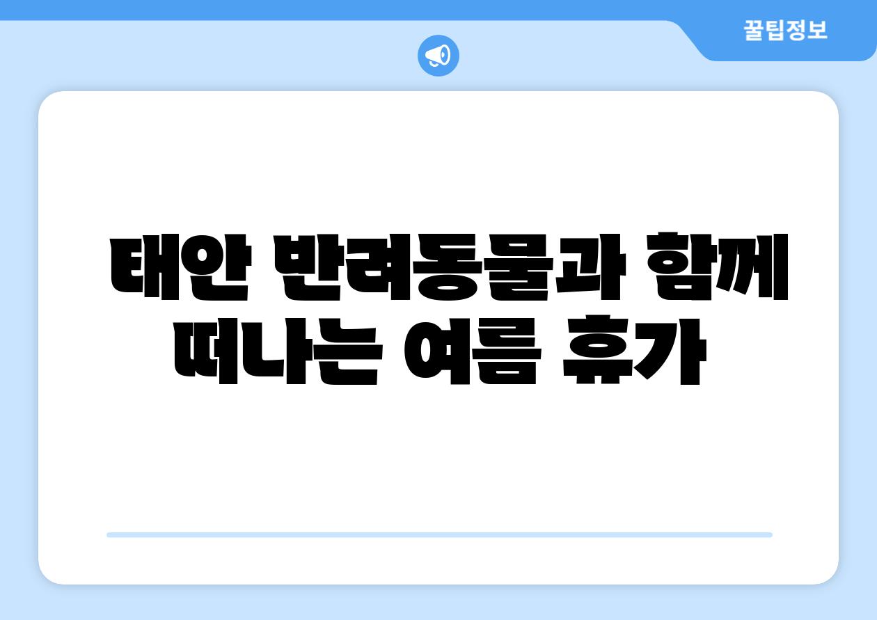 태안 반려동물과 함께 떠나는 여름 휴가